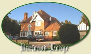 Burwood Lodge B&B,  Lyndhurst